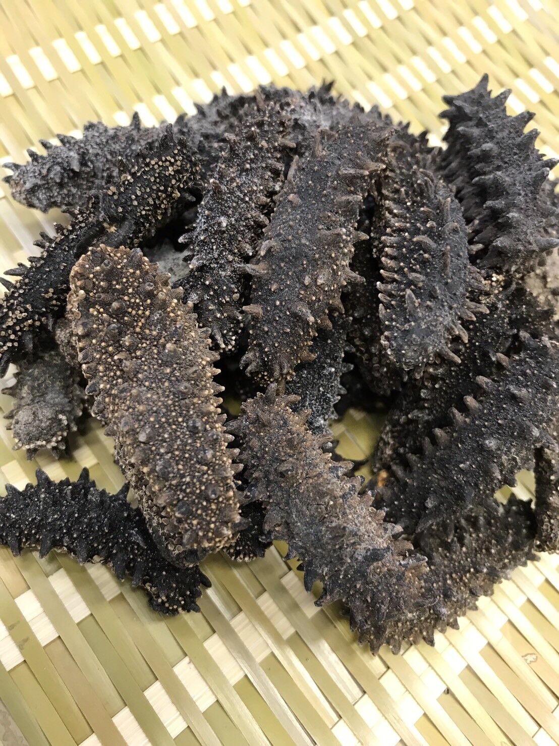 乾燥ナマコ】 100g （北海道産 ） | 築地中原水産
