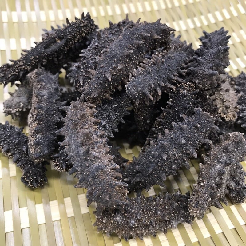 乾燥ナマコ】 100g (北海道産 ) | 築地中原水産 乾燥ナマコ】 100g (北海道産 ) | 築地中原水産
