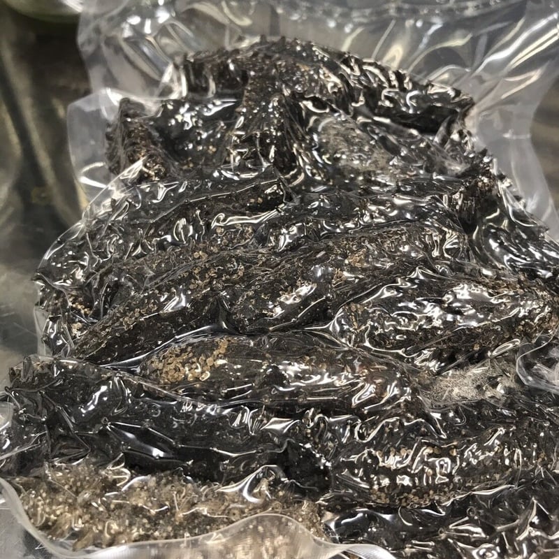 乾燥ナマコ】 100g (北海道産 ) | 築地中原水産 乾燥ナマコ】 100g (北海道産 ) | 築地中原水産