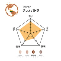クレオパトラ（焙煎豆100g）