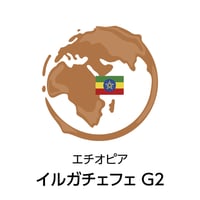 イルガチェフェ G2（焙煎豆100g）