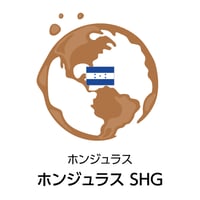 ホンジュラスSHG（焙煎豆100g）