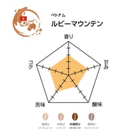 ルビーマウンテン（焙煎豆100g）