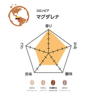 マグダレナ（焙煎豆100g）