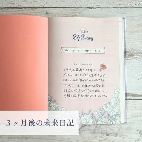 24Diary「ベリーピンク」（１冊３ヶ月・日付曜日フリー）
