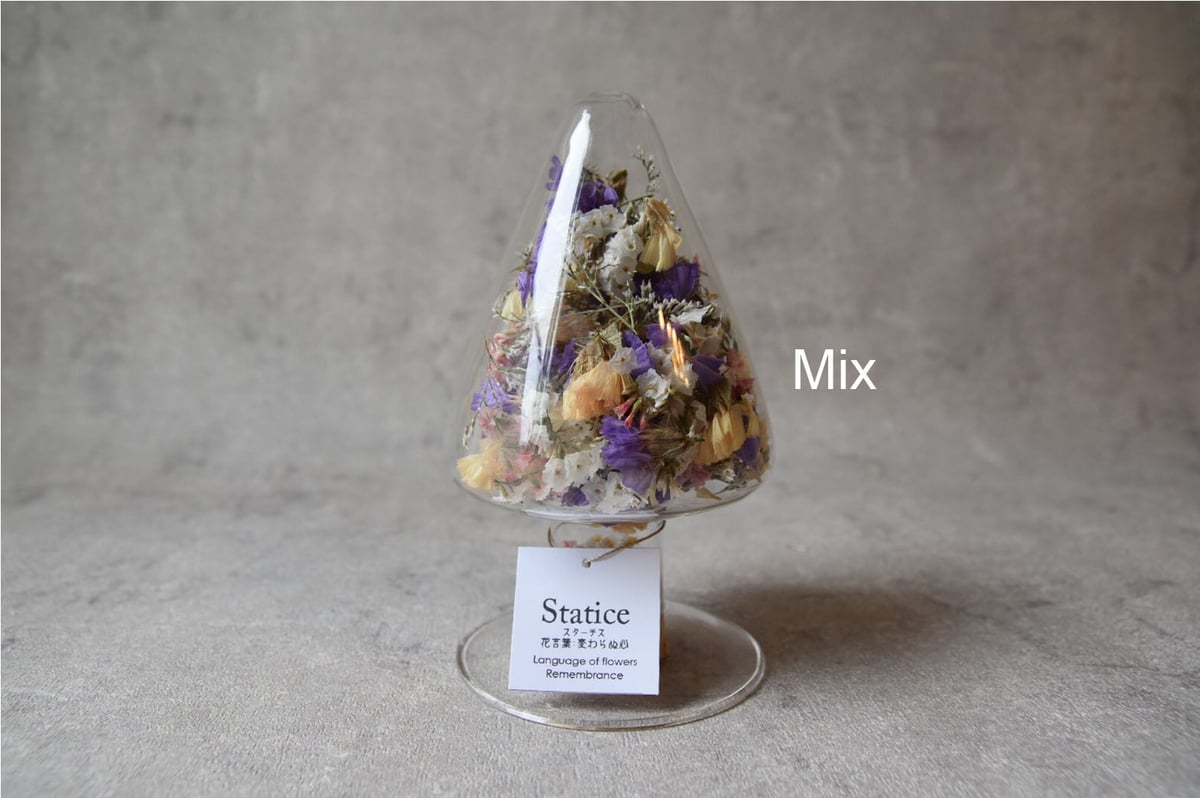花言葉 スターチス Mix | mio Dry Flower Shop
