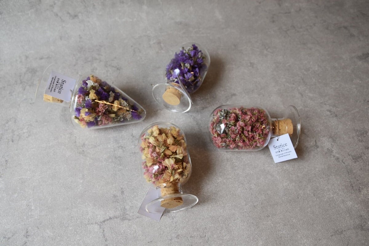 花言葉 スターチス Mix | mio Dry Flower Shop