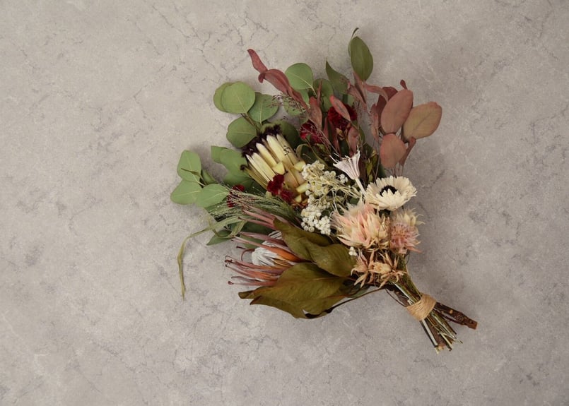 プロテアスノープリンセスのスワッグ  ドライフラワー プロテアスノープリンセス スワッグ | mio Dry Flower Shop