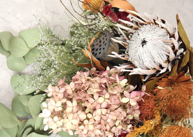 創作スワッグ　プロテア＆キュウイツル peindre] swag プロテアとキウイつるのスワッグ ドライフラワー