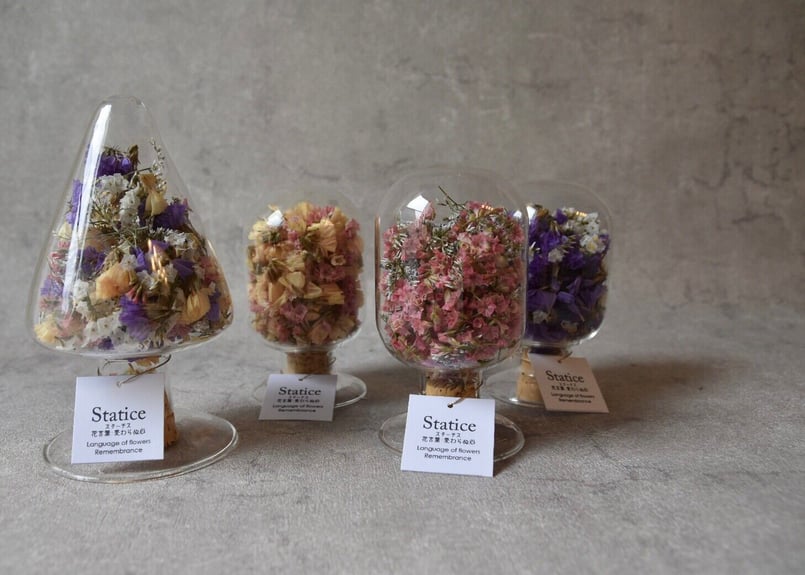 花言葉 スターチス Mix | mio Dry Flower Shop