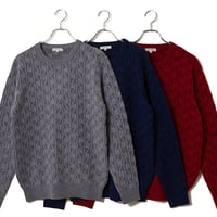 カシミヤ100％メンズクルーネック　「ALPHA」アルファー