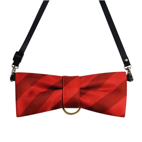 CuCu ribbon｜メガネケース｜Strap　ネックストラップ付