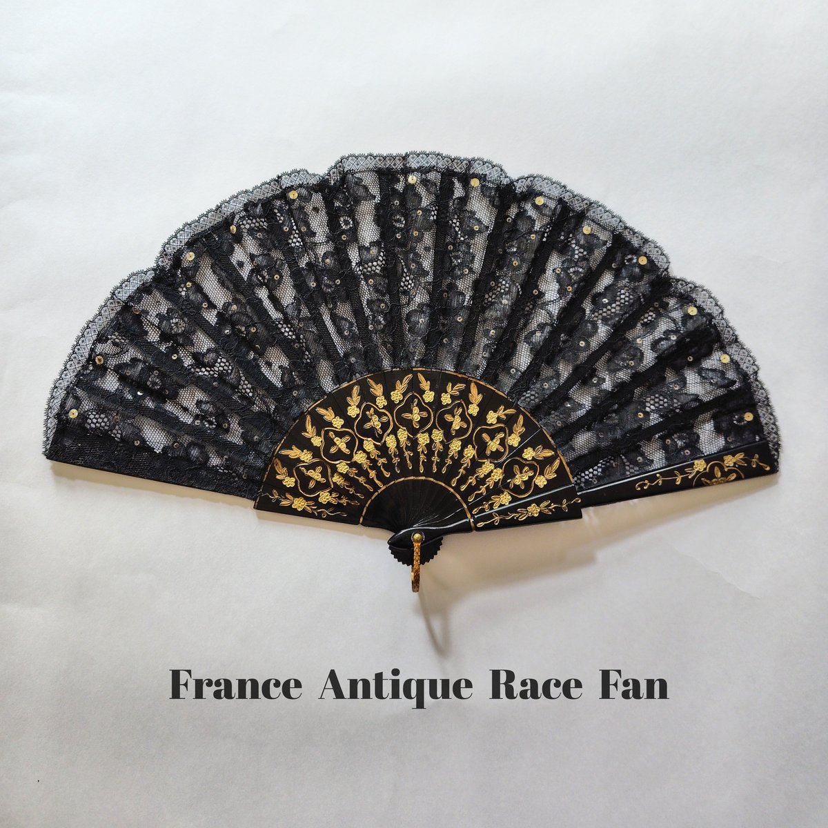 France Antique Race Fan 19世紀後半 フランス アンティーク扇子 アン