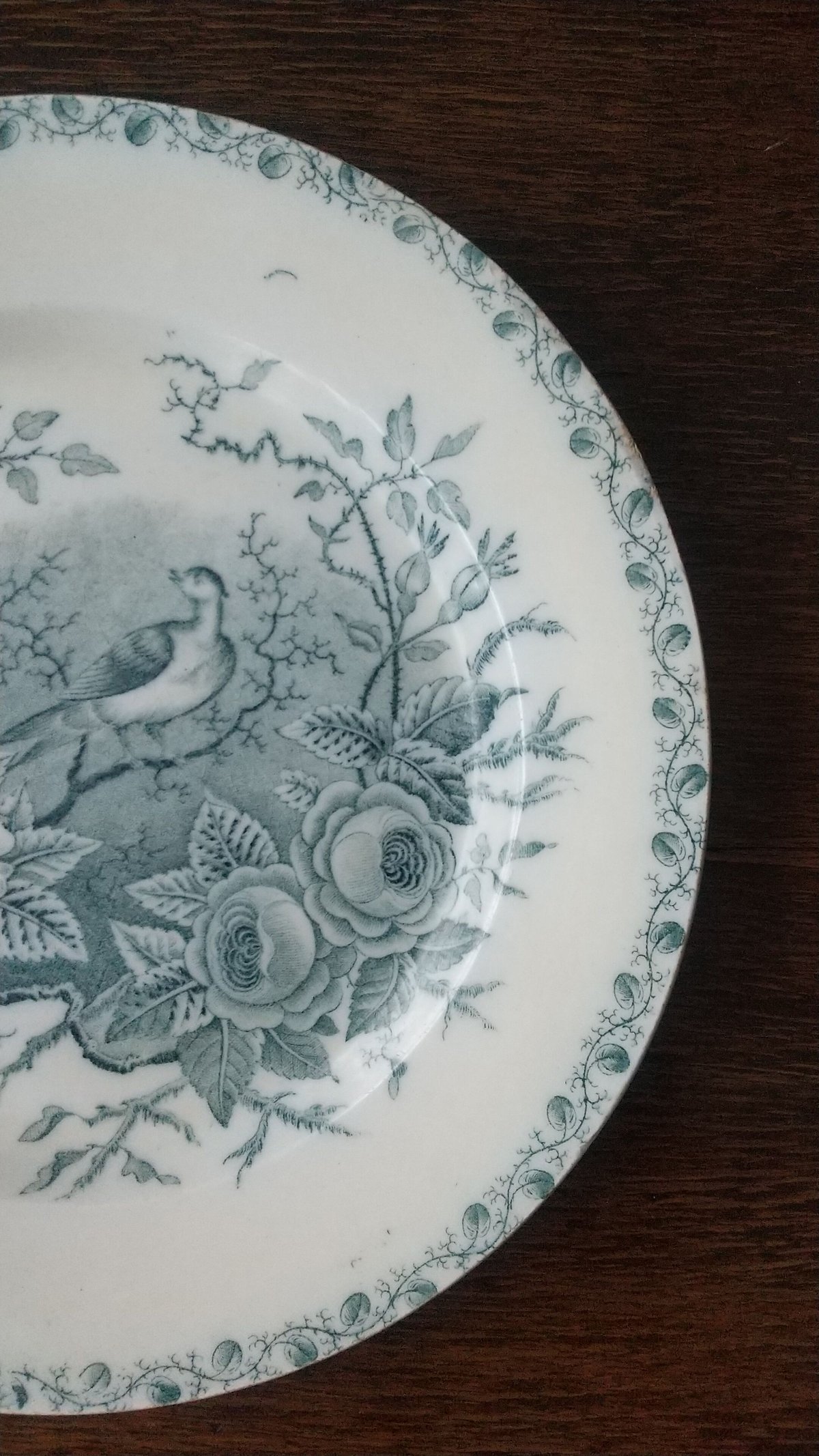 イタリア アンティーク リチャードジノリ Société Ceramica