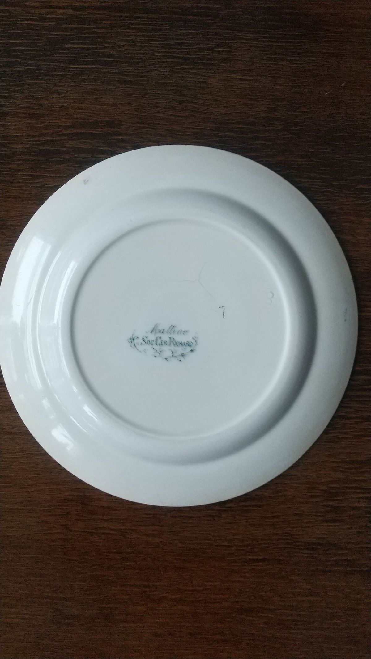 イタリア アンティーク リチャードジノリ Société Ceramica