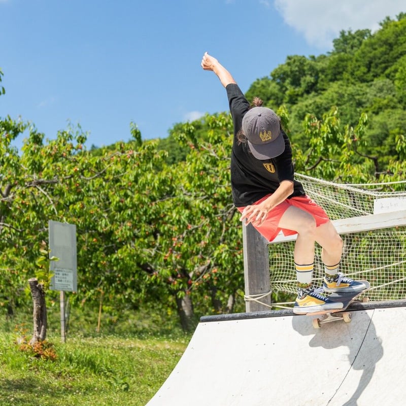 ナイロンショーツ / 菊鶴紋刺繍入り | BBA skate club STORE