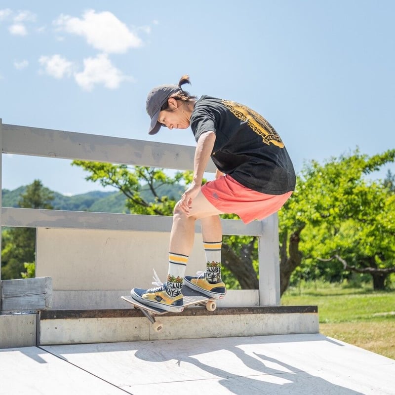DESCENDANT 刺繍 ナイロンショーツ ナイロンショーツ / 菊鶴紋刺繍入り | BBA skate club STORE