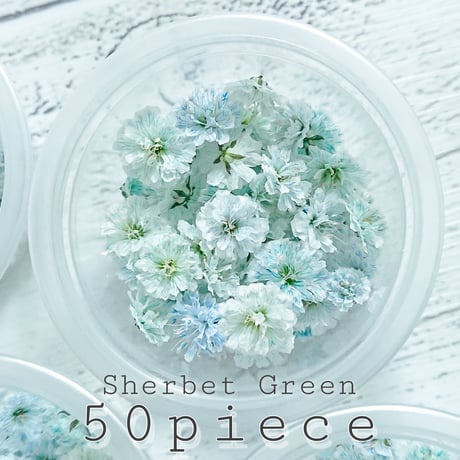 STORES ドライフラワーの検索結果