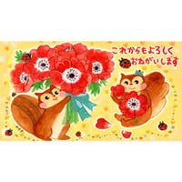 小箱10個セット・アネモネ(これからもよろしくおねがいします) チョコくるみクッキー