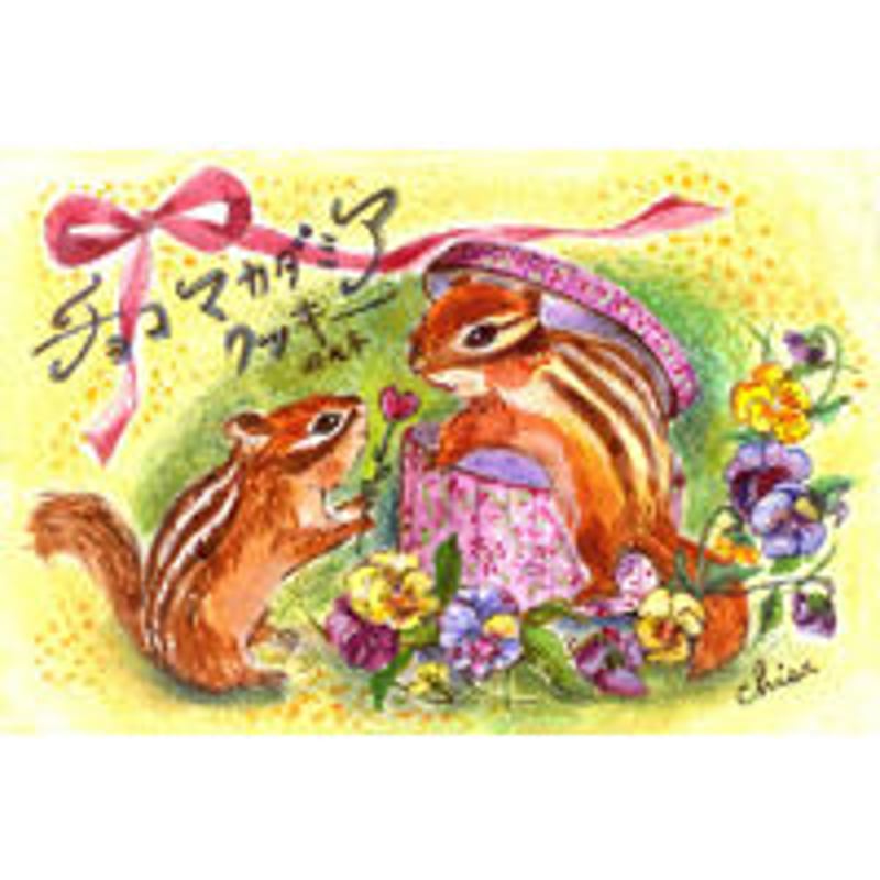 CD 野心を抱け　絶版品　希少品 ハートの花（チョコマカダミアクッキー） | 西光亭