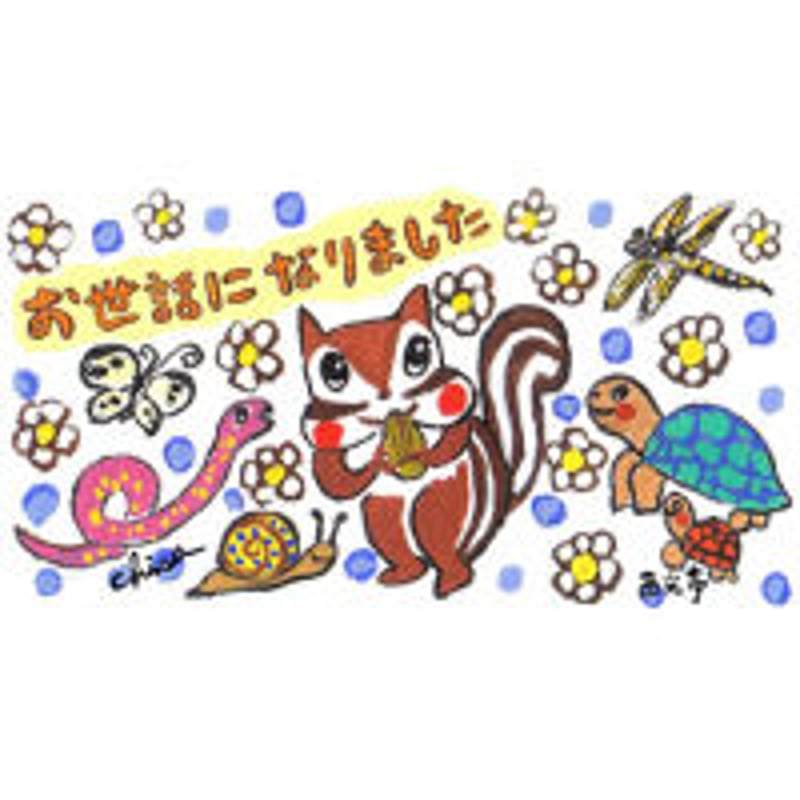 小箱10個セット・かめもトンボも(お世話になりました) チョコ