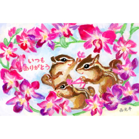 デンファレ（いつもありがとう）