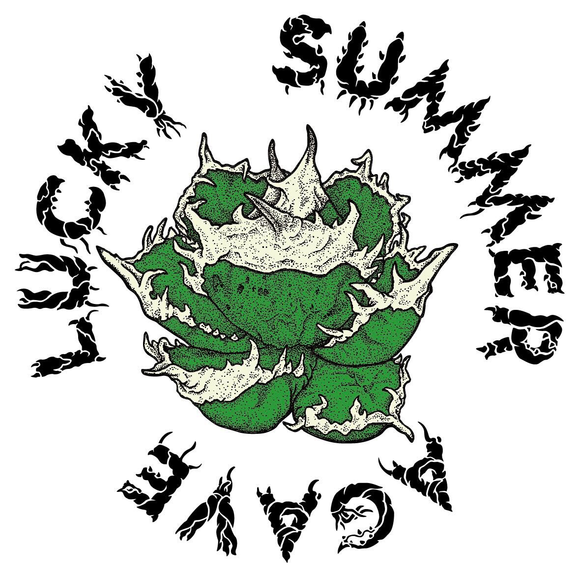 CATEGORY 厳選大株 | Lucky Summer Agave