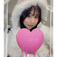 ‎🤍もふもふネコ‎🤍2枚セットᕷ*.°