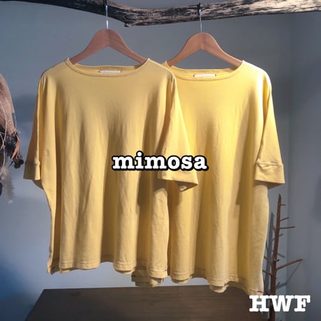 cotton鹿子ニットクルー (mimosa)(blue green)(powder pink)