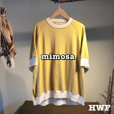 40/2クラッシックcotton天竺ニットラグランクルー(candy pink) (mimosa) (forest green)
