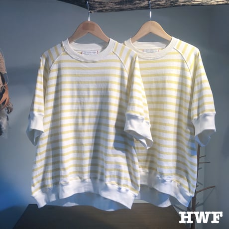 cotton度詰天竺ニットボーダーラグランクルー (lemon × cream)
