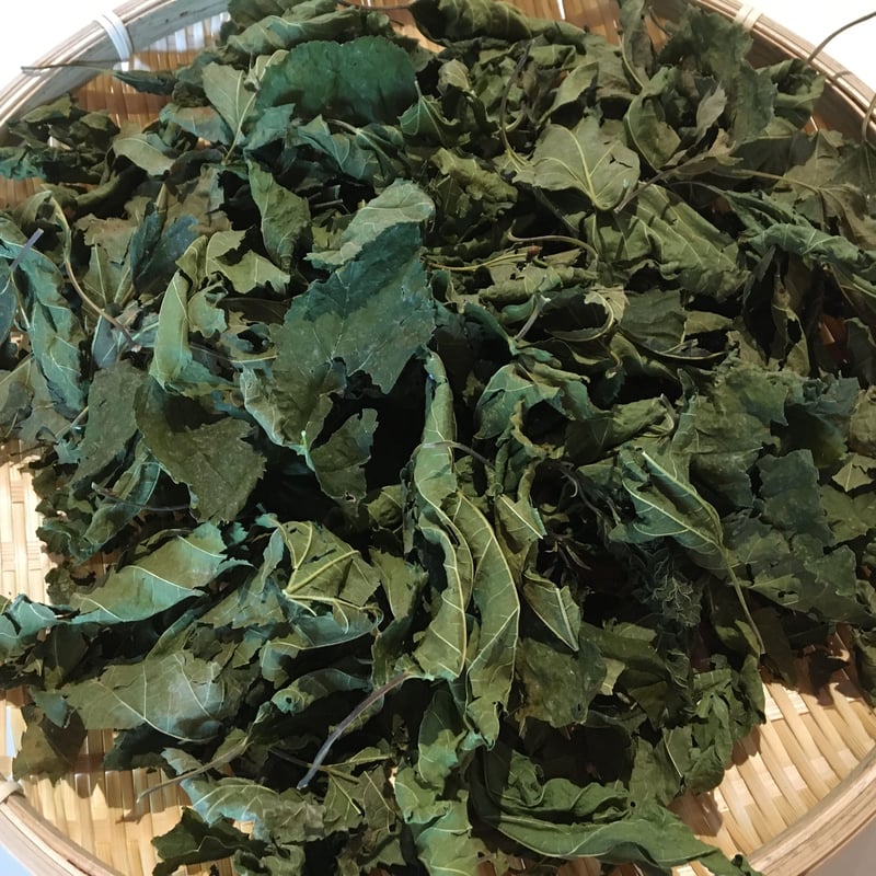 桑（クワ） 乾燥葉 10g | 自家製ハーブと手摘みの野草 そらにはハーブ園