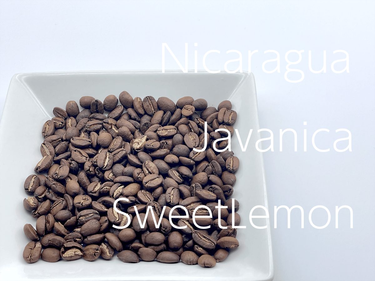 ニカラグア ジャバニカ スウィートレモンWashed：［中浅煎］ | つるる珈琲