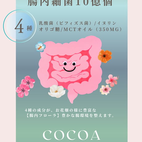 【LUPI】ビューティココア ボタニカルプロテイン 300g（お試し*送料別）