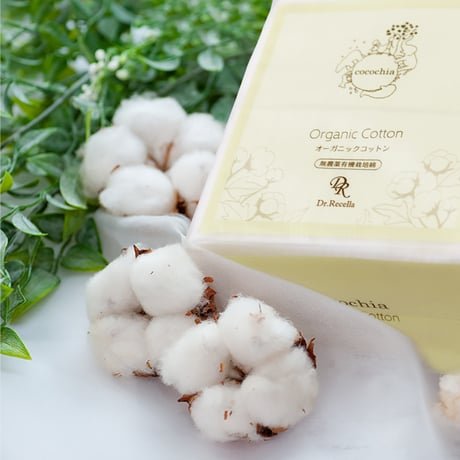 【cocochia】オーガニックコットン