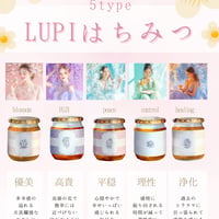 国産無添加【LUPI HONEY】6種