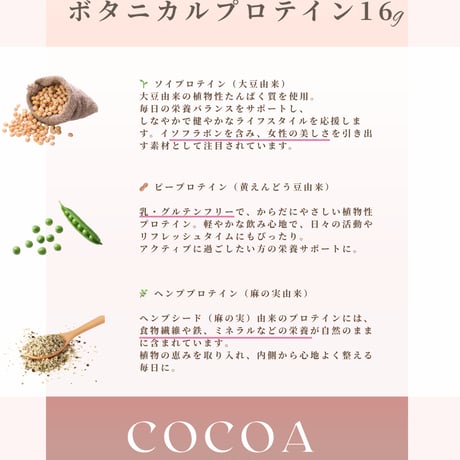 【LUPI】ビューティココア ボタニカルプロテイン 300g（お試し*送料別）