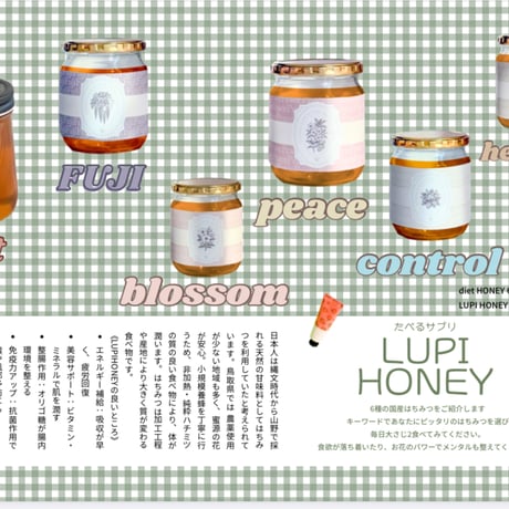 国産無添加【LUPI HONEY】6種