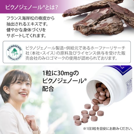 ピクノスタイル 90粒
