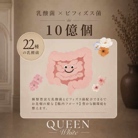 【月1定期便】QUEENプロテイン300g×2袋定期便（送料無料）解約可