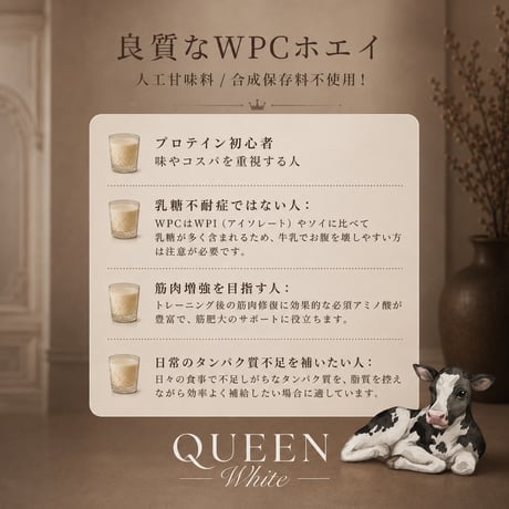 【月1定期便】QUEENプロテイン300g×2袋定期便（送料無料）解約可
