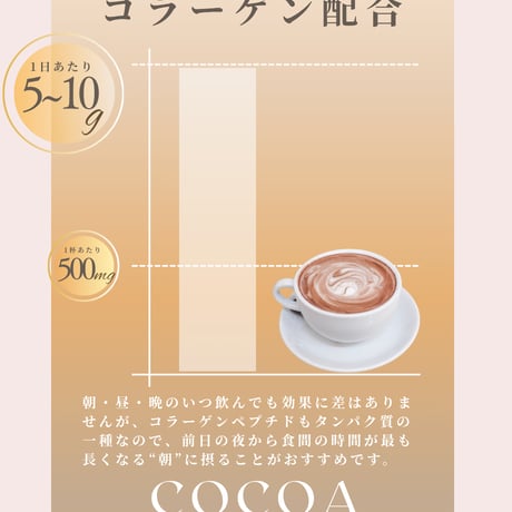 【LUPI】ビューティココア ボタニカルプロテイン 300g（お試し*送料別）