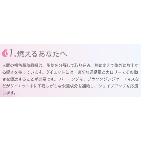 リボディー・プロ バー二ング