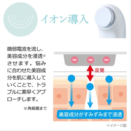 【アクアヴィーナス】セルビースキン