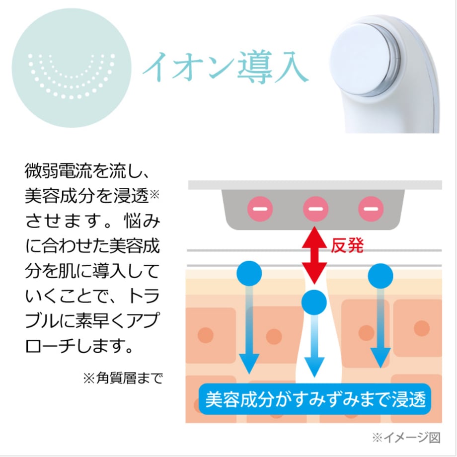 6648c5b2900a516bc51b8bb2