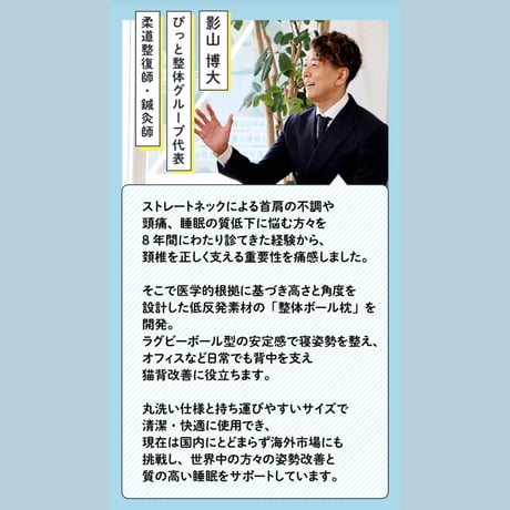 整体ボール