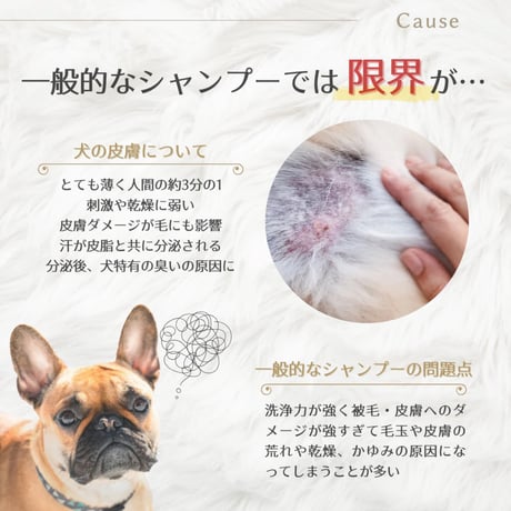 バウバウプレステージシャンプー