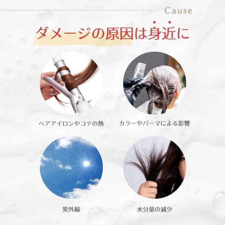 ウルブシャンプー