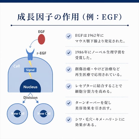 エクソリューションセラム 50mL