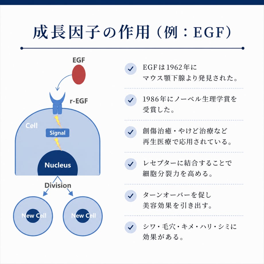 6a30f1ce41100f8af2cb0b07